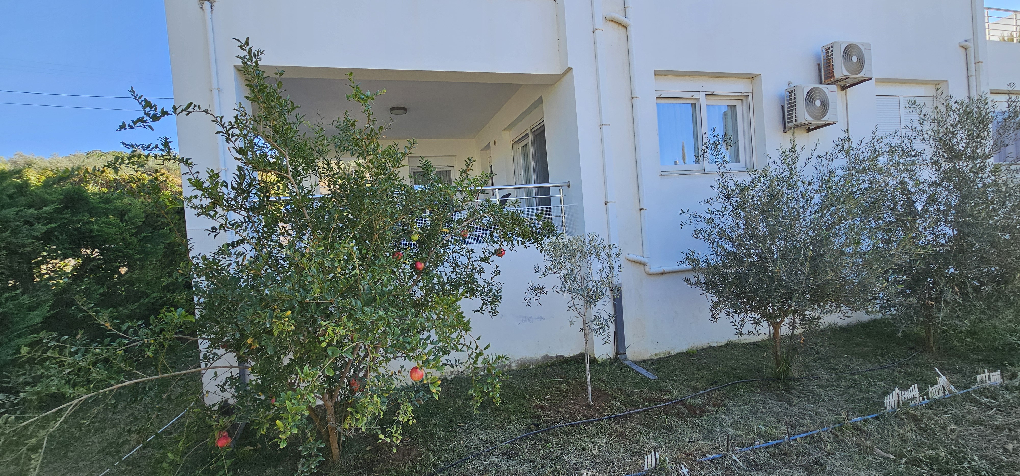 Apartment 1
