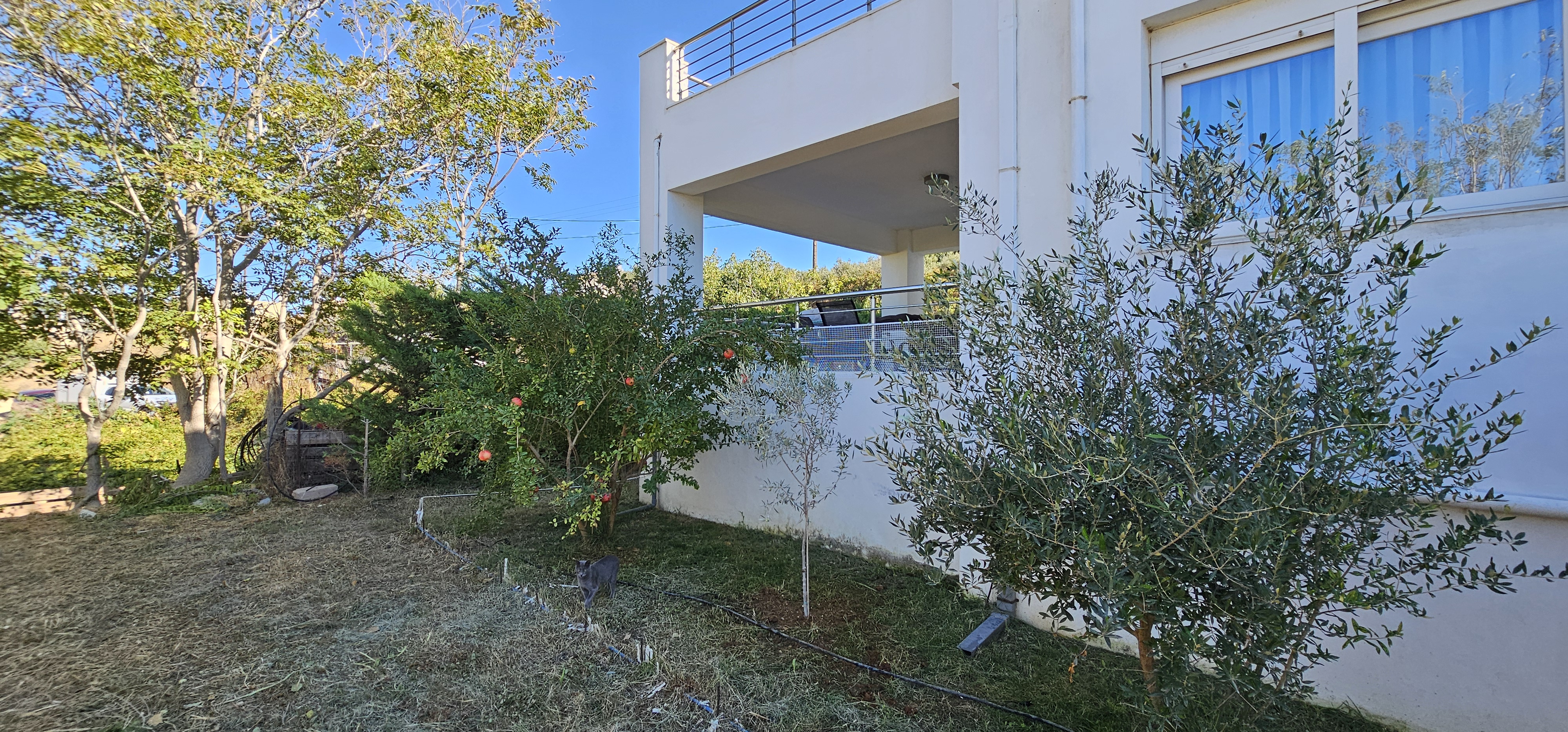 Apartment 2